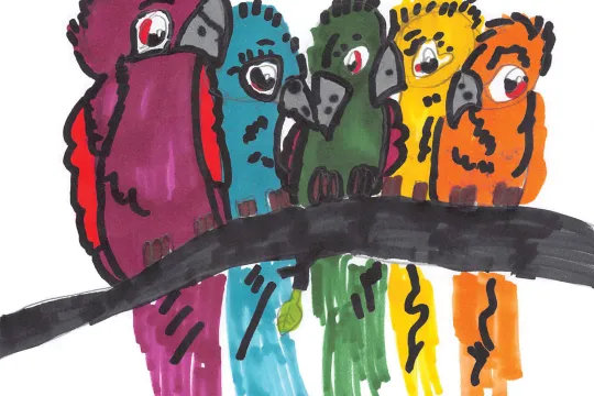 Image of five colorful birds sitting closely together on a branch.  The birds appear to be small parrots with longer tail feathers.  The farthest right bird is Garnet then teal then deep green followed by a yellow and orange bird.