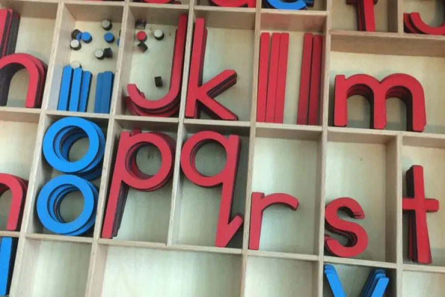 Montessori movable alphabet