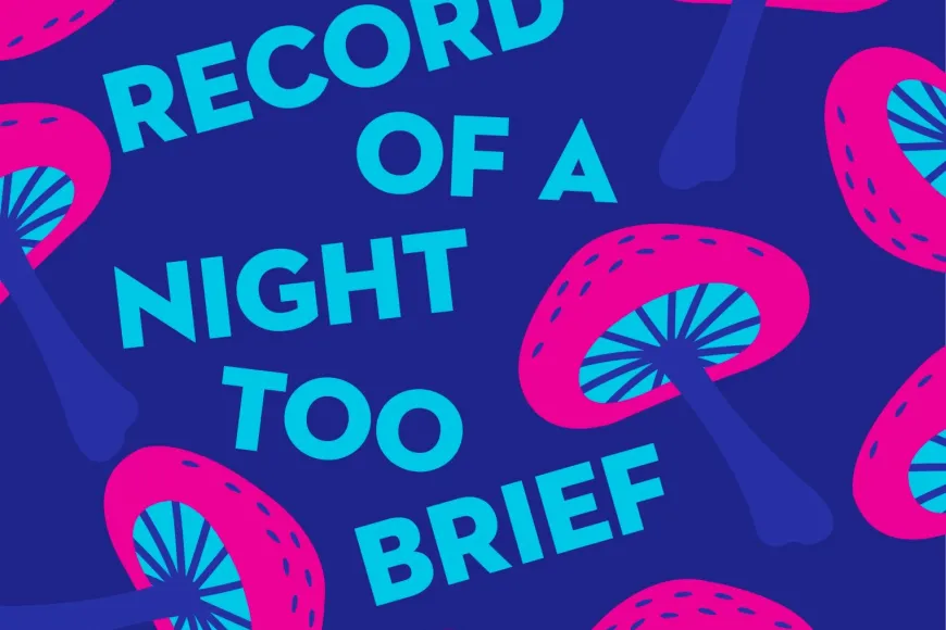 A Record of a Night Too Brief