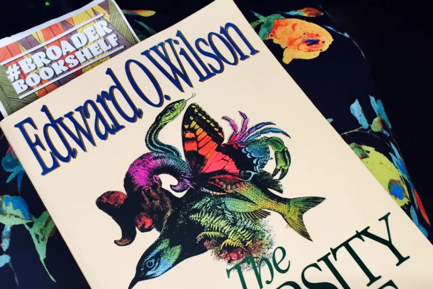 Customer Shares #BroaderBookshelf selection 