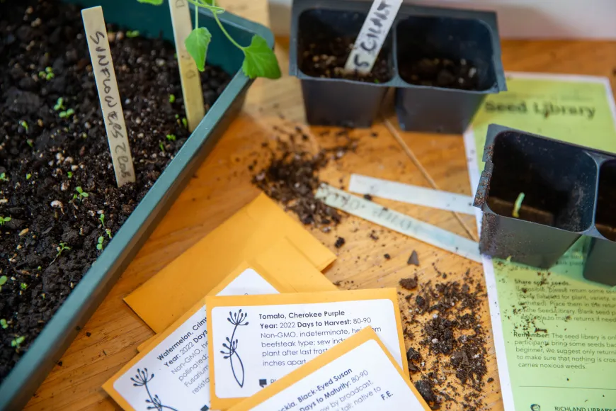 seed packets