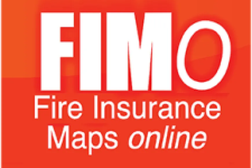 FIMo logo