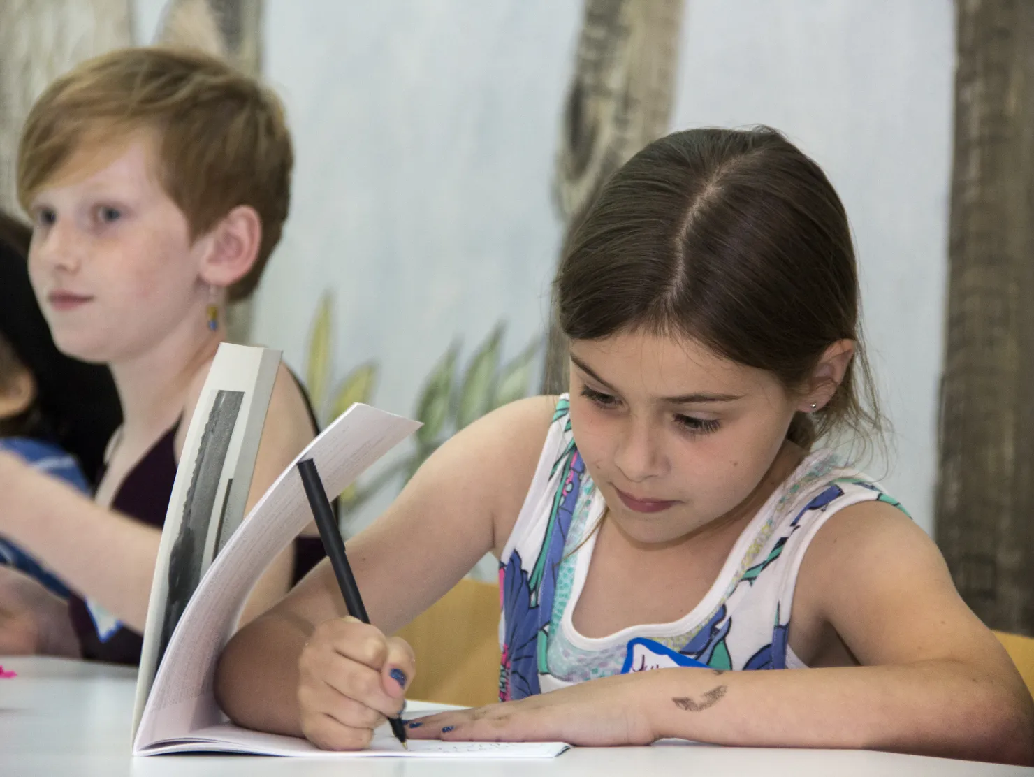 SC ELA Standards: Writing Part 3 | Richland Library