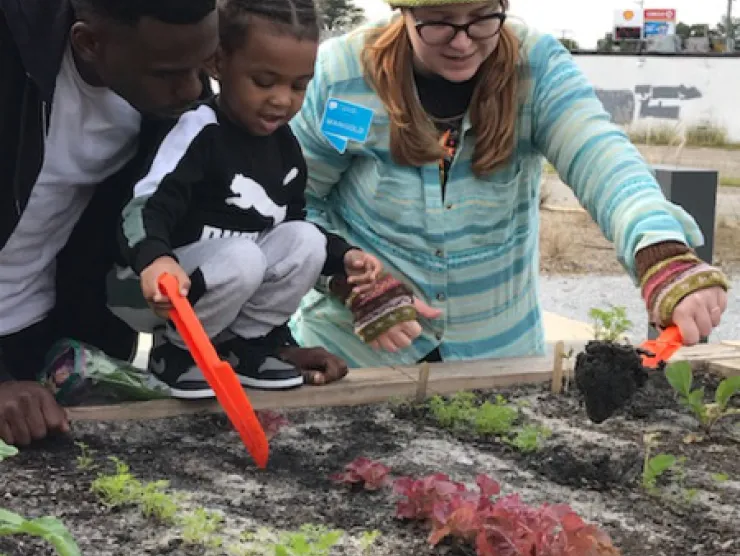 Black male and black child wearing dark jackets talk with a white staff member wearing a bright blue sweater and blue and yellow hat as they discuss winter plants in a raised garden bed
