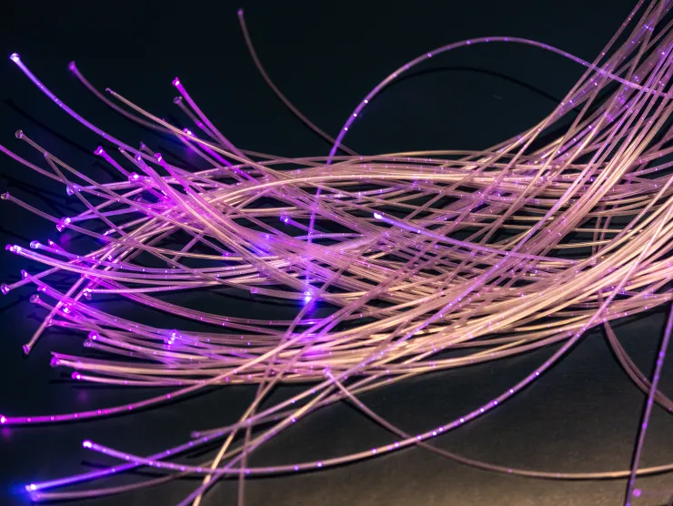 Southeast's Multisensory Room