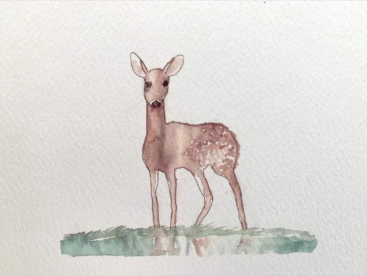Watercolor Deer