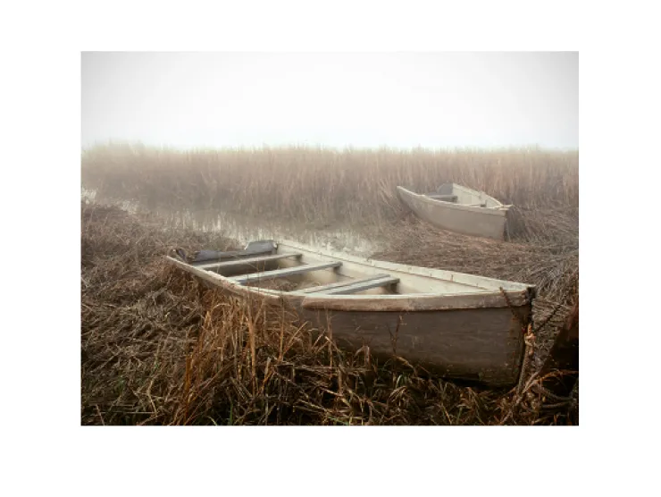 Photo of a row boat moored on a foggy morning