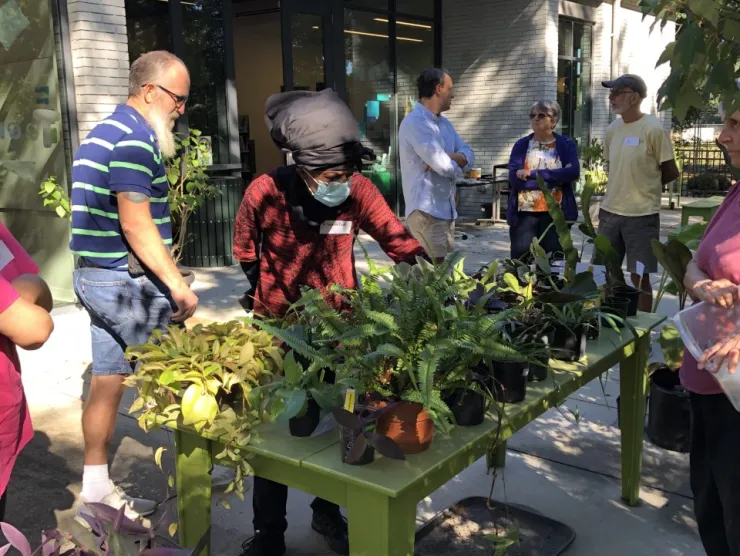 People selecting plants!
