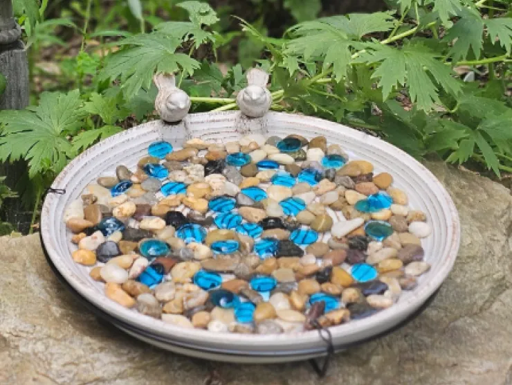 pollinator_watering_dish