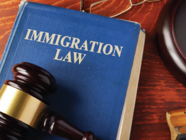a blue book with the text immigration law, with a gavel on top