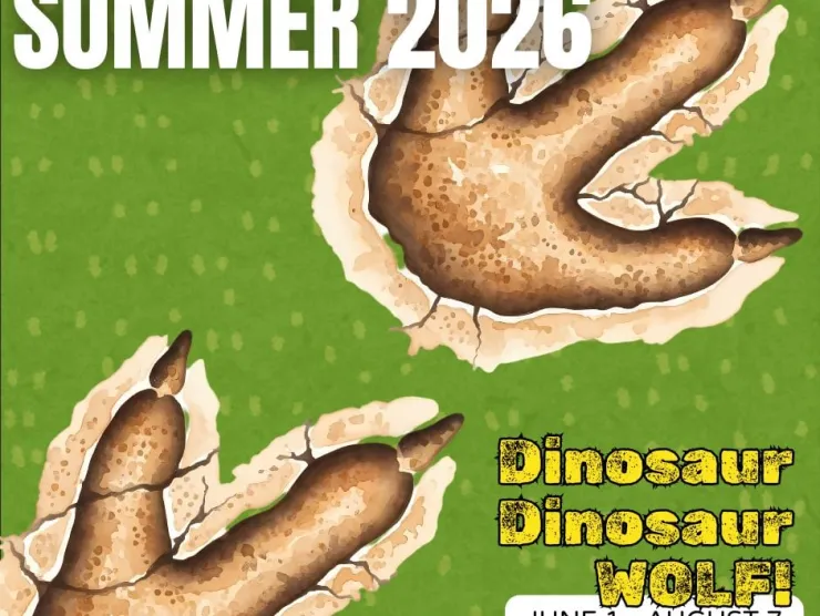 Flyer for Dinosaur Dinosaur Wolf