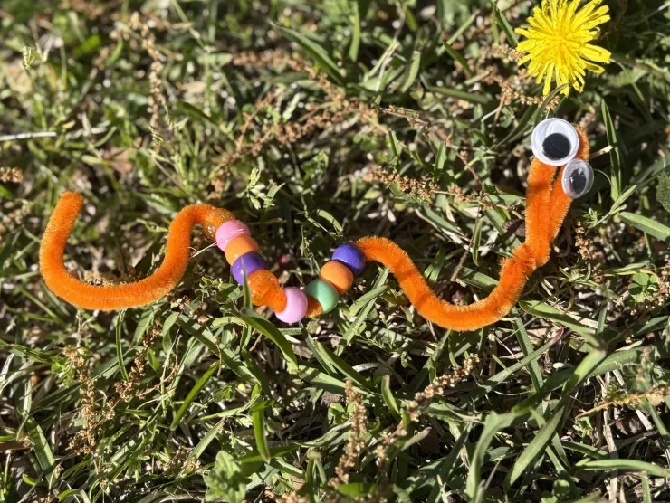 Example of earthworm coding craft