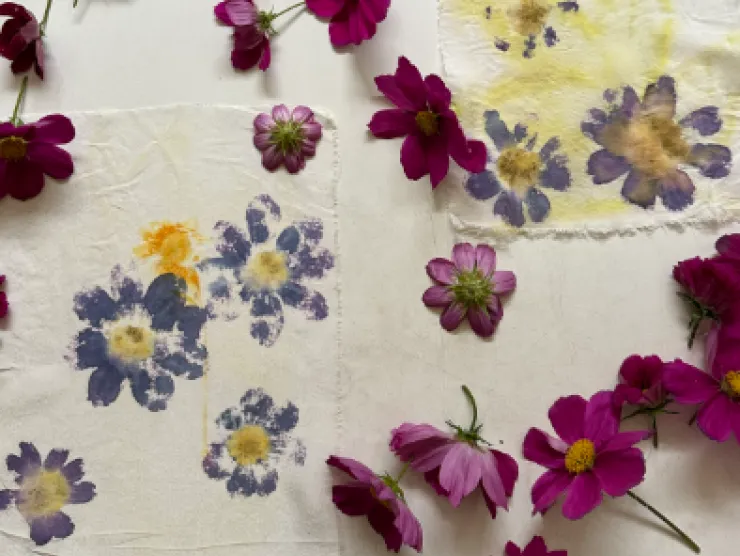 natural flower dye