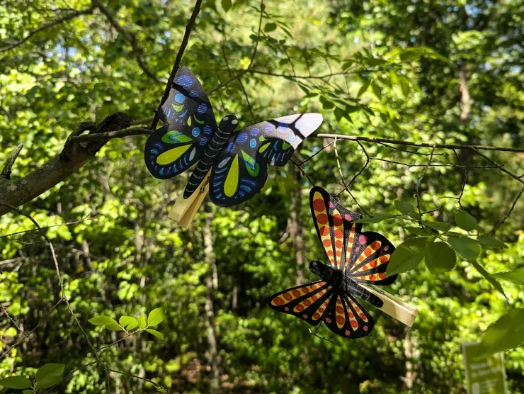 Two paper butterflies mounted on clothespins so that as you open them, the wings flutter. One butterfly is black and orange and pink. The other is black, blue, and green.