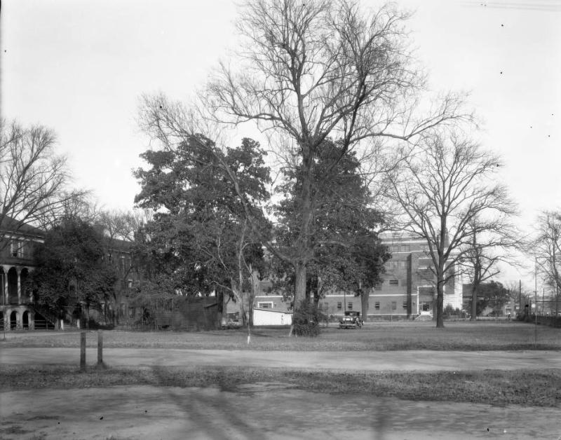 Rear view of Ainsley Hall with Township 1930