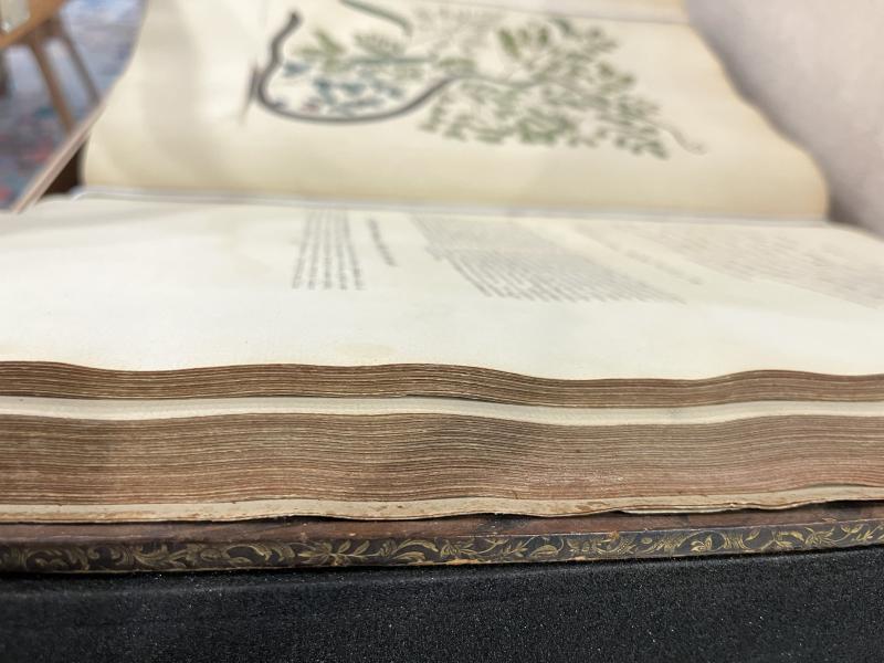 Catesby's Natural History Embossed Edge