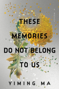 these memories do not belong to us book cover