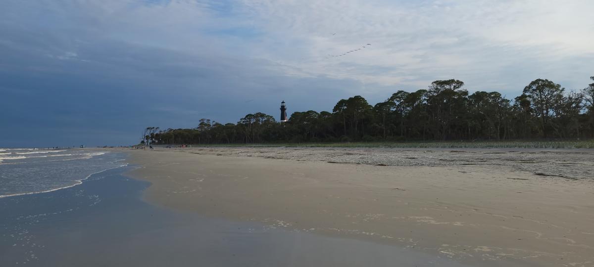 lighthouse with trees
