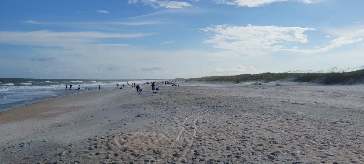 sand and surf