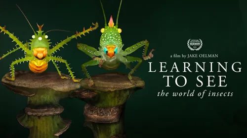 Learning to See: The World of Insects