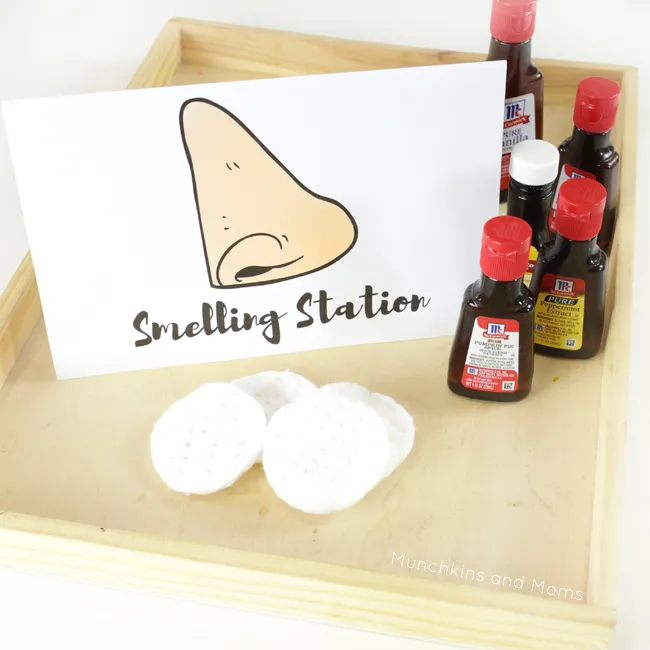 a smelling scent station, a container with items that children can smell
