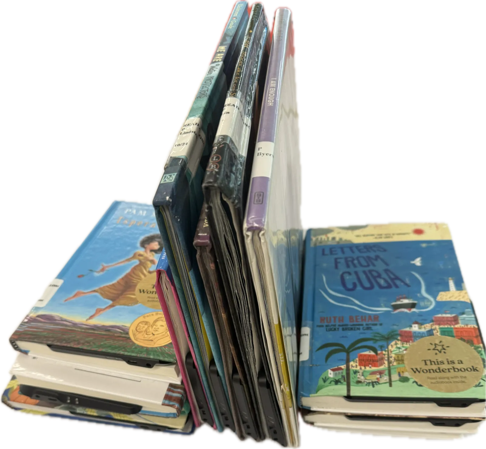 A stack of multicultural books from the Richland Library.