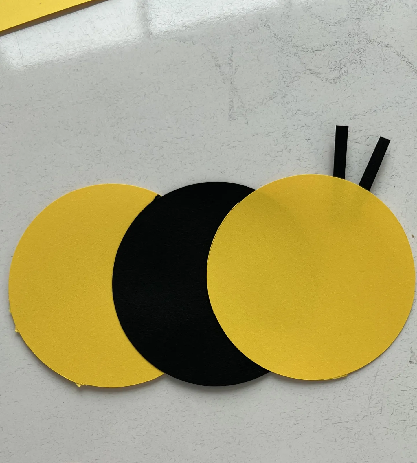 circle bee with antannae