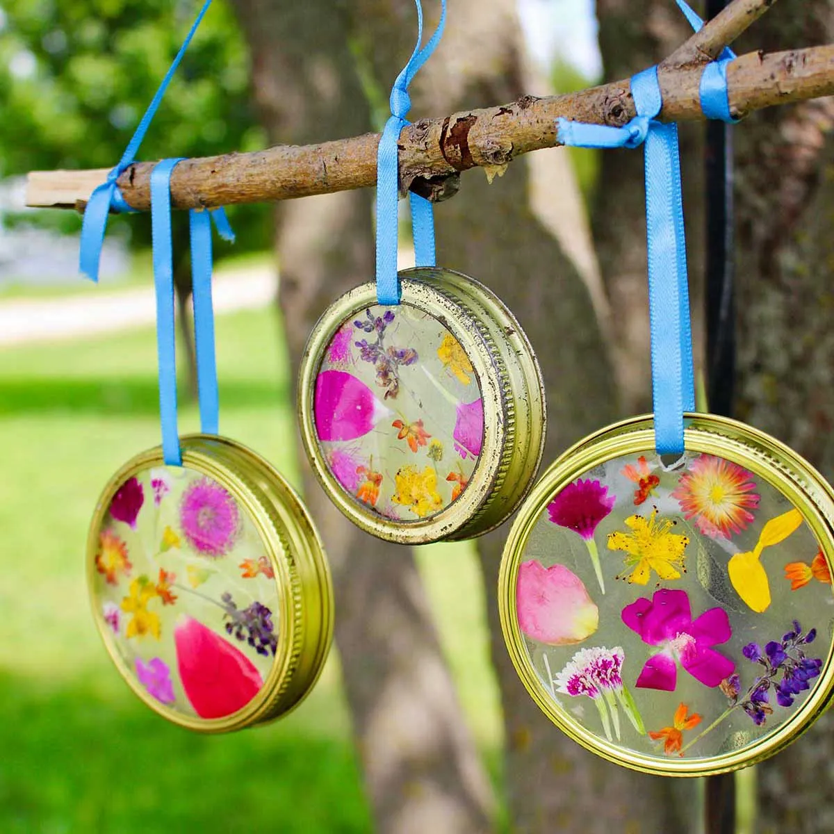 Sun Catcher