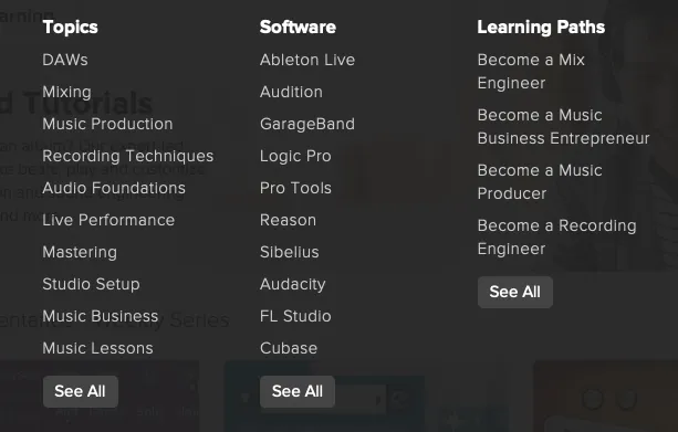 Screenshot of Audio + Music menu on Lynda.com.
