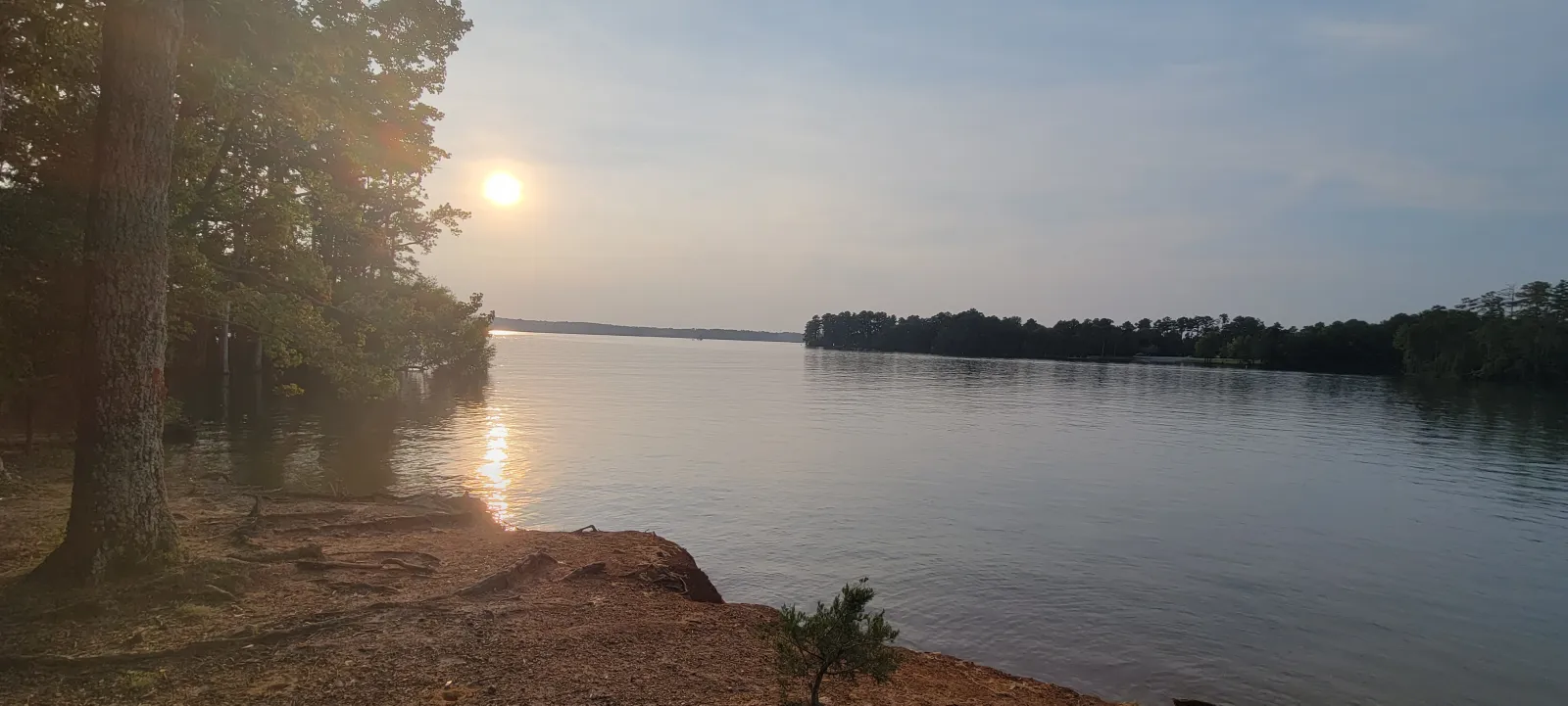 lake with sunflare