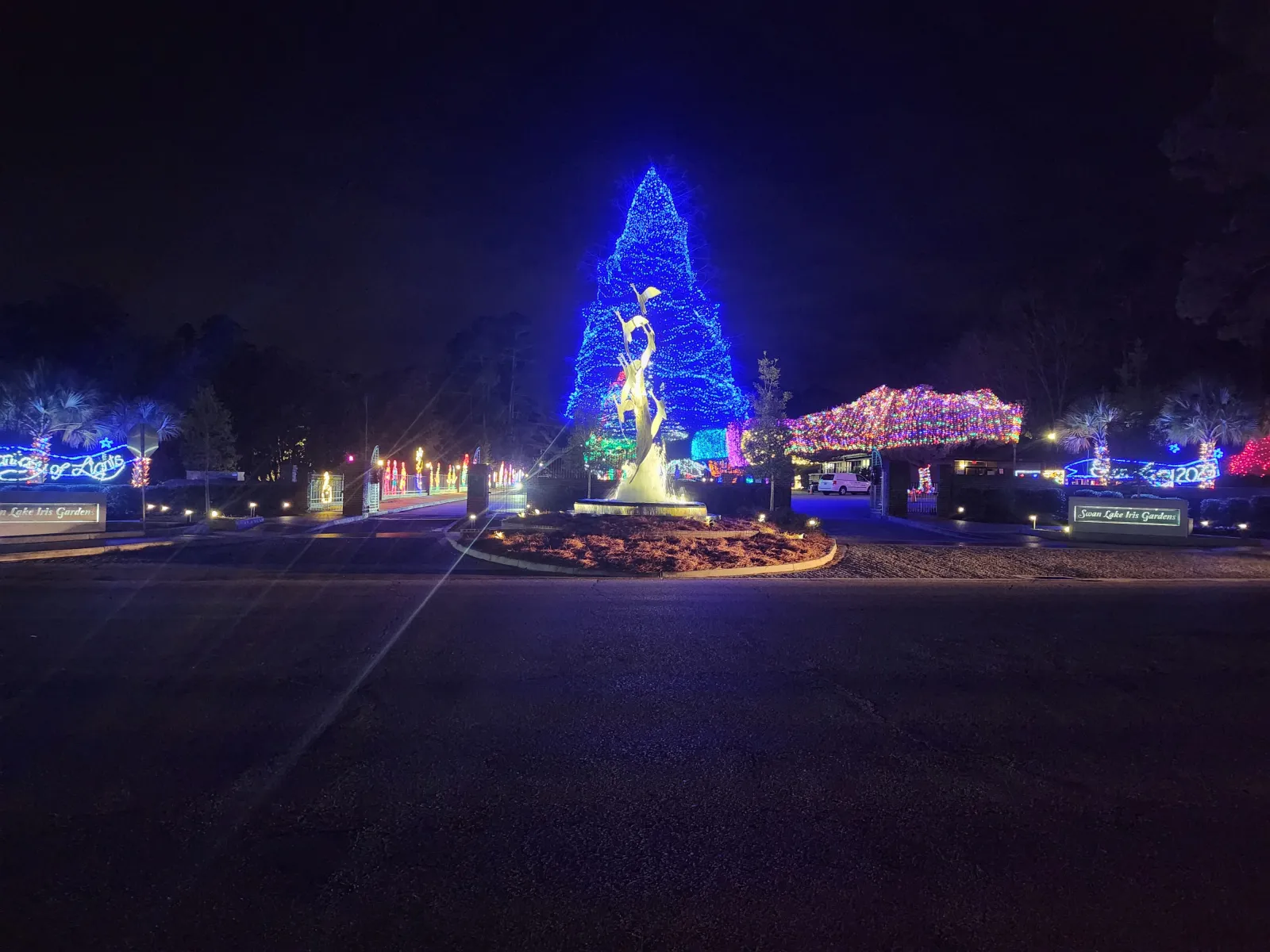 Swan lake Christmas light decorations outdoors