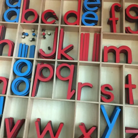 Montessori movable alphabet