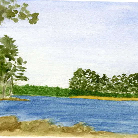 Watercolor from lake shore with nearby trees, blue water, and a small island with trees.