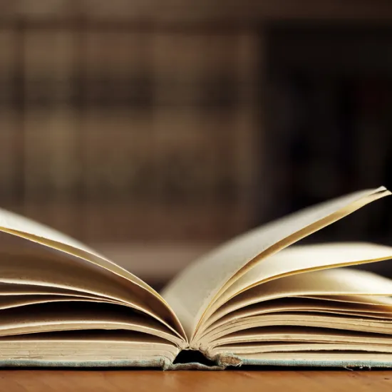 a small open book, placed on a surface, with pages standing up