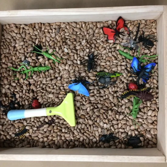 plastic bugs in a sensory box with beans