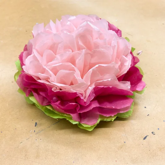 picture of completed pink tissue paper flower