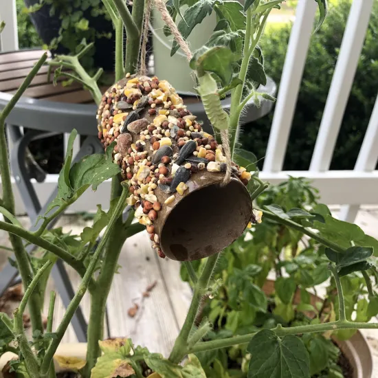 Reused Cardboard Roll become a DIY Birdfeeder