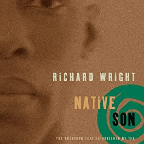 Native Son Book Cover