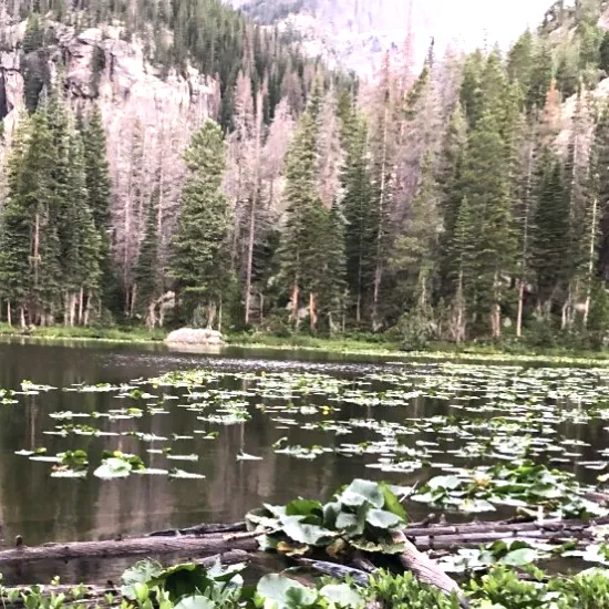 Nymph Lake