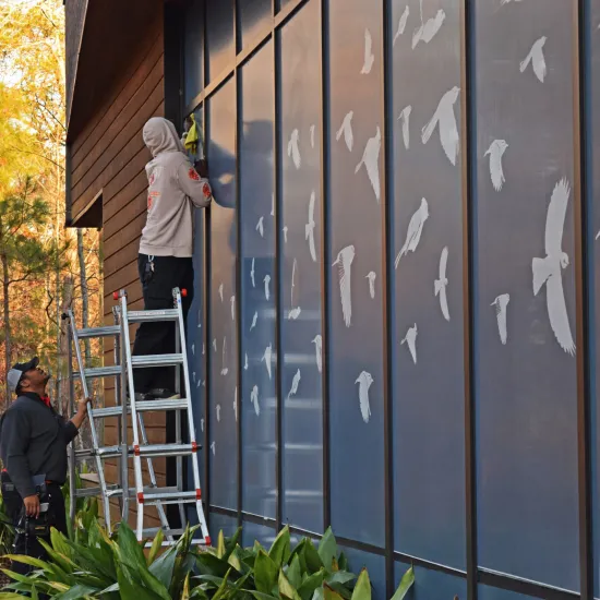 Birds of Ballentine public art installation