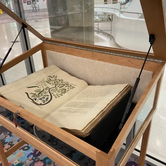 Mark Catesby Display