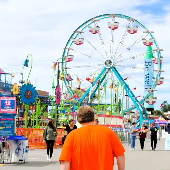 wide shot of ferris wheel