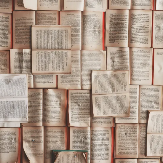 Photo shows a wall of book pages arranged artfully.