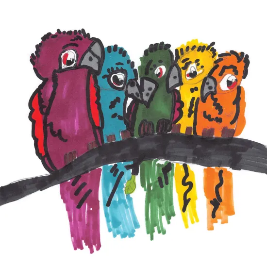 Image of five colorful birds sitting closely together on a branch.  The birds appear to be small parrots with longer tail feathers.  The farthest right bird is Garnet then teal then deep green followed by a yellow and orange bird.