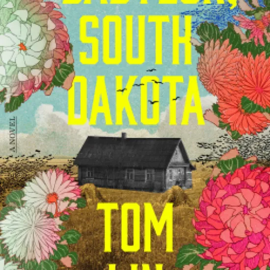Babylon, South Dakota book cover